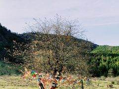 -硗碛藏寨·神木垒景区