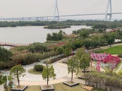 -芒洲湿地公园