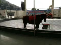 -无锡动物园·太湖欢乐园