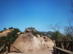 -大岭沟猕猴桃谷风景区