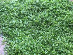 -龙坞茶村