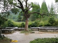 android_upload_pic-习家池