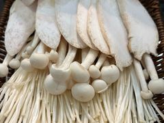 菌菇拼盘-金龙·打边炉(武进路店)