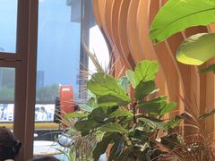 -Bco豆库(星耀天地店)