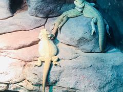 -福州罗源湾海洋世界旅游区