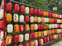 -梁鸿国家湿地公园