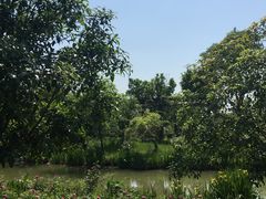 -鹅湖玫瑰文化园