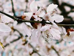 -红星美凯龙(东北全球家居1号店)