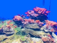 -常州海昌海洋探索馆