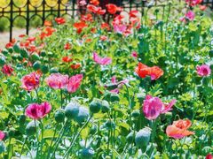 -国家植物园南园