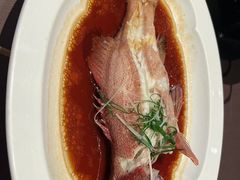 -鸽子张·家宴(大兴店)