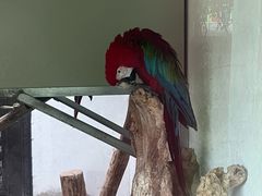 -青藏高原野生动物园