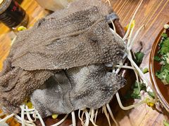 -华丰火锅(双林北横路店)