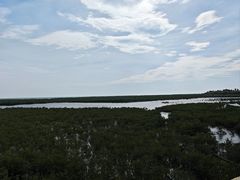 -北海金海湾红树林生态旅游区