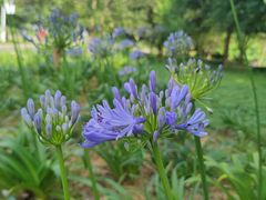 -贵阳市花溪国家城市湿地公园