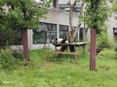 -沈阳森林动物园