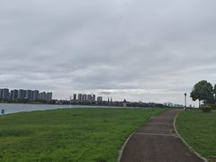 -九龙湖公园