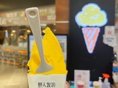 -野人先生现做冰淇淋(北京环宇荟店)