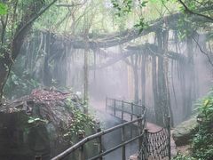 -青青世界