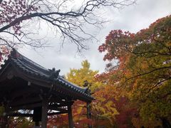 -常寂光寺