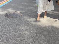 -日照海滨国家森林公园