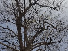 -观潮胜地公园