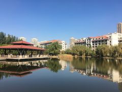 -沈阳于洪碧桂园凤凰酒店