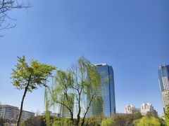 -新虹桥中心花园