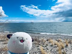 -呼伦湖旅游景区