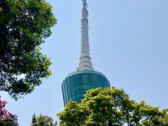 -梧桐山风景名胜区