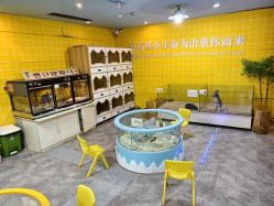 -神奇动物撸宠馆·羊驼·小浣熊·异宠(豫园店)