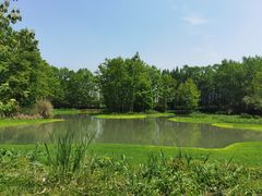 -桤木河湿地公园