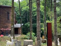 -洛阳白云山景区