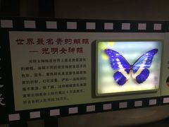 -上海昆虫博物馆