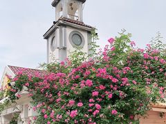 -东湖生态旅游风景区
