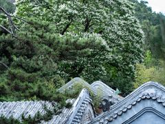 -潭柘寺景区