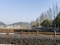 -黄贤森林公园