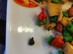 -文东记(马里士他路)