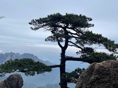 -黄山翡翠谷景区
