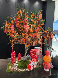 -丽妍雅集 Rubis SPA