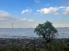 -上海吴淞炮台湾国家湿地公园