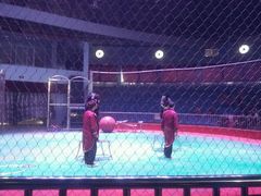 -西安秦岭野生动物园