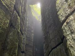 -梦幻奥陶纪景区