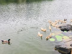 -上海怡沁园度假酒店