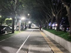 -深圳龙潭公园