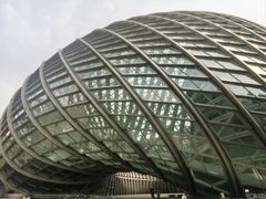 -凤凰中心