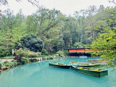 -灵栖洞天
