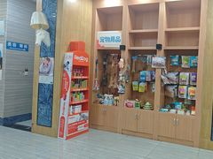 -瑞派名望志远动物医院·猫科·內科·异宠专科(直港大道店)
