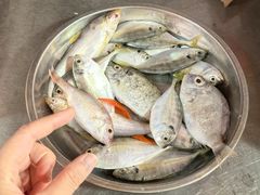 -下环街市熟食中心