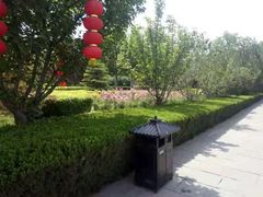 -大槐树寻根祭祖园